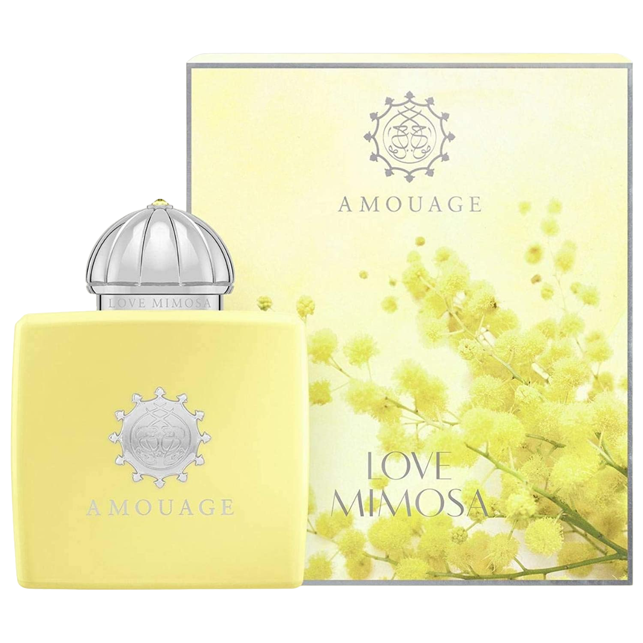61X9aXNCpWL-PhotoRoom-PhotoRoom Amouage Love Mimosa Eau de Parfum da donna 100ml scatolato - immagine 1