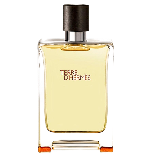 Hermes-Terred_HermesEaudeToilette100ml_Tester Hermès - Terre d' Hermes Eau de Toilette 100ml (Tester) - immagine 1