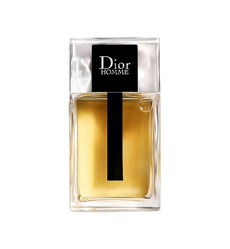 download-2022-09-09T163805.297 Dior Homme Dior Homme Eau de toilette 100ML UOMO - immagine 1